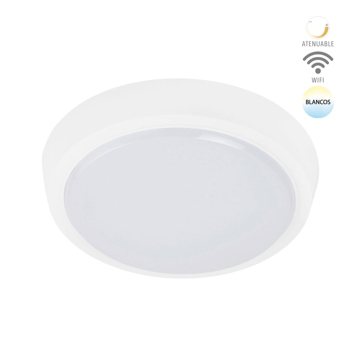 LAMPARA PARA SOBREPONER DECORATIVA INT LED 10W 100-240V 10PTLLED1010MVBTCW 10PTLLED1010MVBTCW