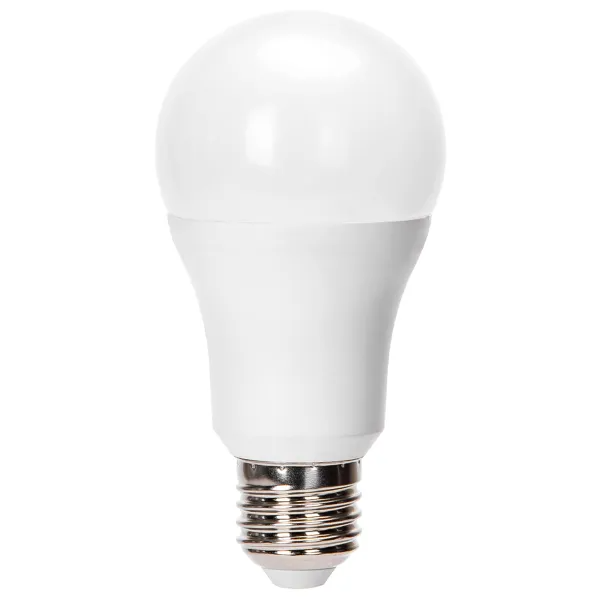 FOCO BULBO LED A70 E27 24W 1920LM 65K LUZ FRÍA AIGOSTAR 684088