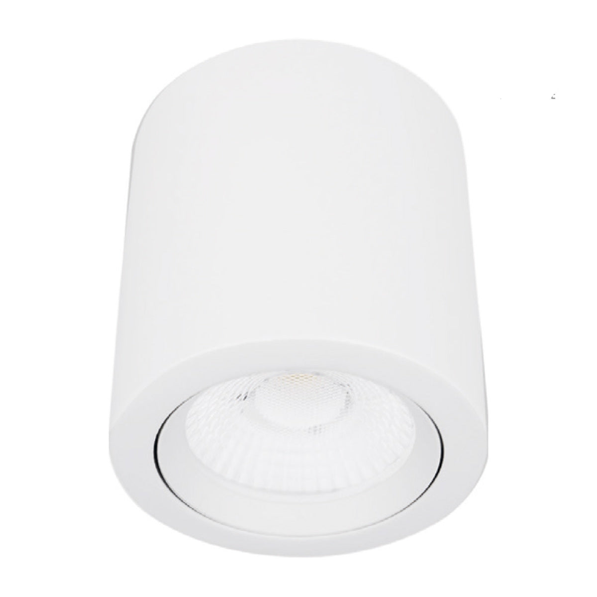 SPOT LED DE SOBREPONER PARA INTERIORES DE TECHO BLANCO ASHLESHA I 20W 127 1850LM 30K 20DYSNLED009V30B