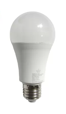 FOCO LED ECONOMICO BULBO 16W LUZ FRIA