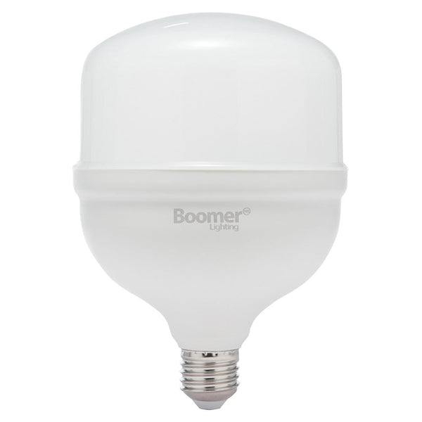 FOCO INDUSTRIAL TOLEDO E26 30W 65K LUZ FRÍA BOOMER LT00023F
