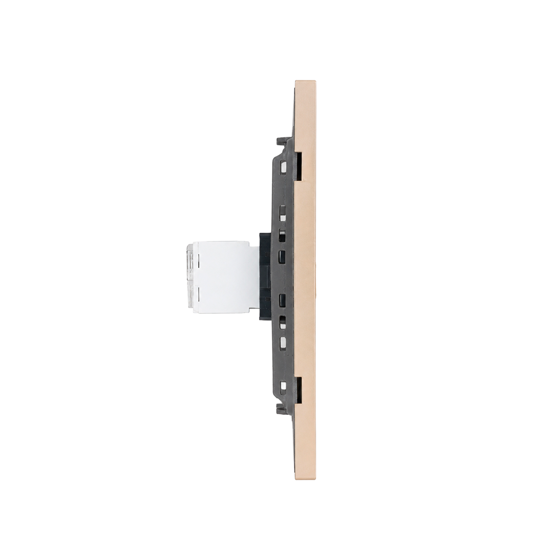 PLACA CONTACTO RED LAN RJ45 DORADO LUXURY ARTLITE APL-509