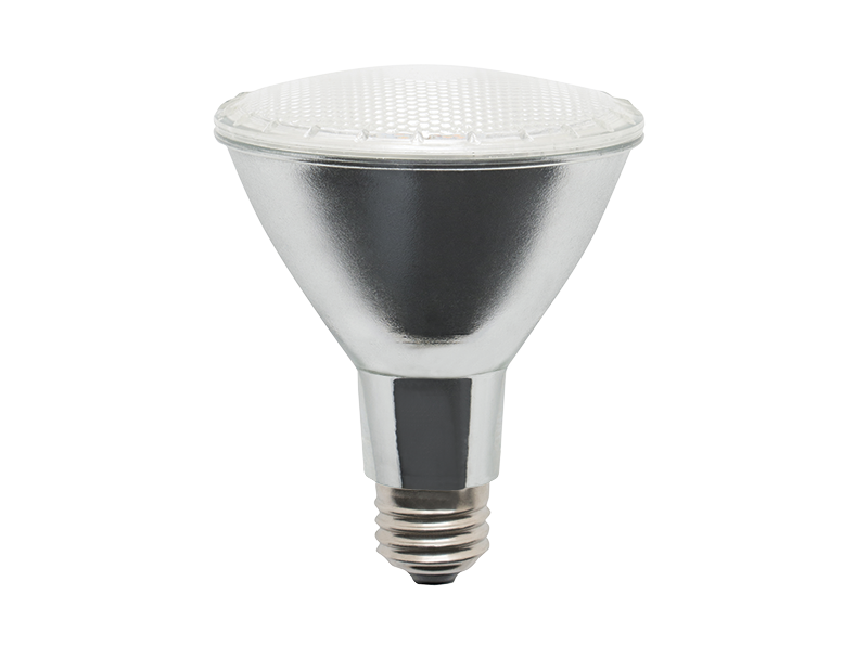 FOCO LED-PAR30 VERDE 8W  IPSA