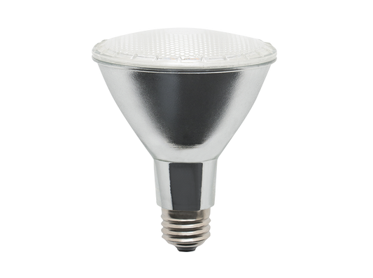 FOCO LED-PAR30 VERDE 8W  IPSA