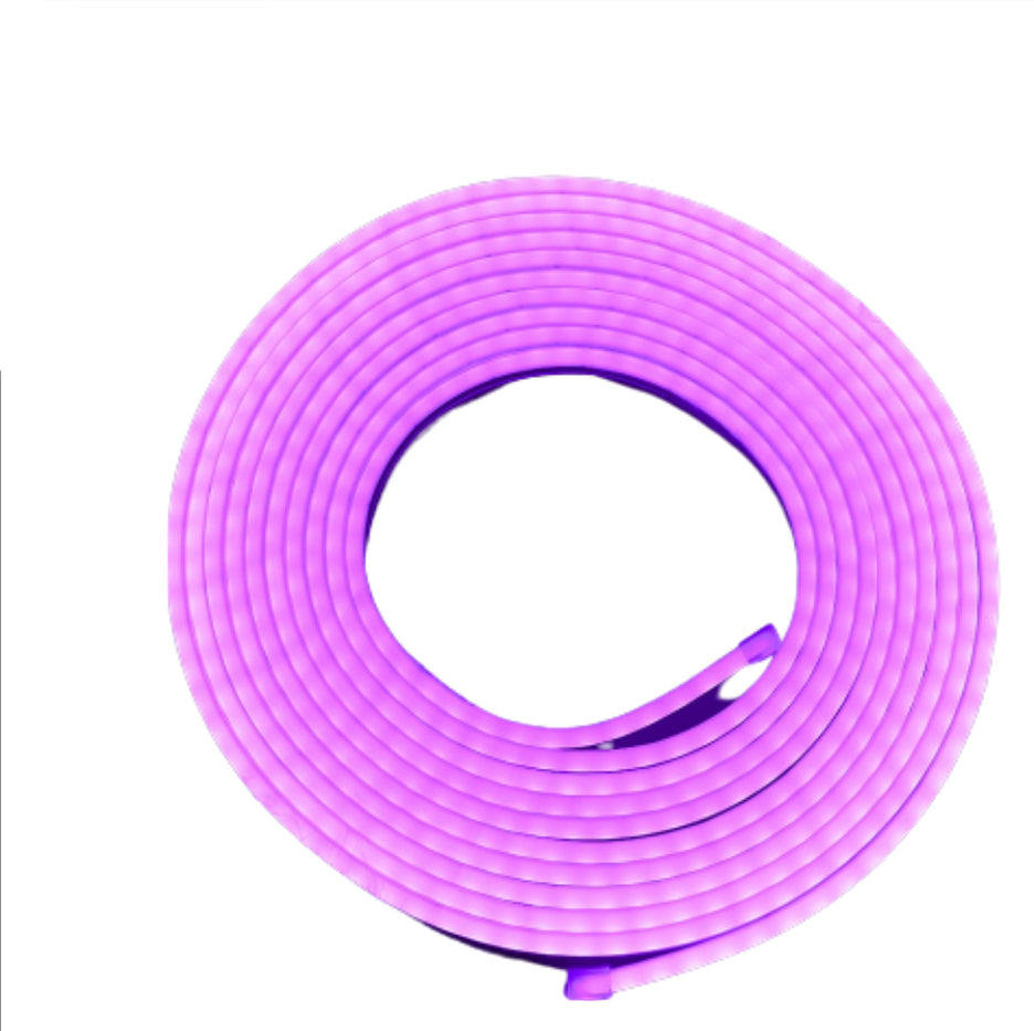 BLISTER MANGUERA LED NEON 5 MTS. 12V PURPURA